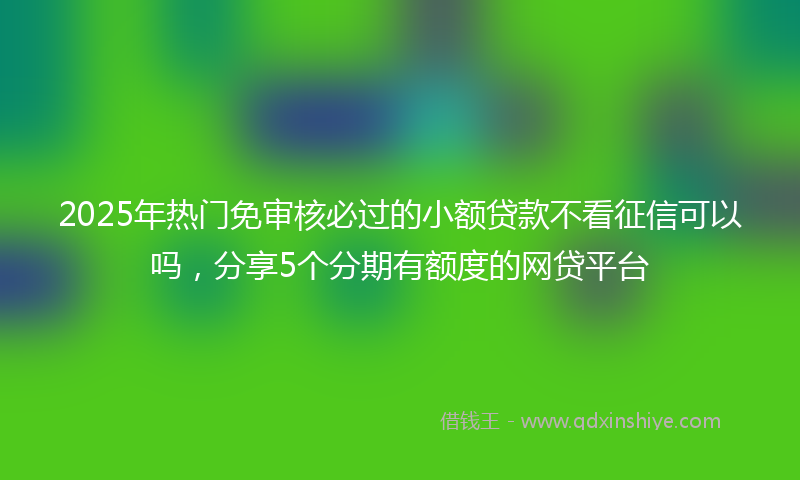 2025年热门免审核必过的小额贷款不看征信可以吗，分享5个分期有额度的网贷平台