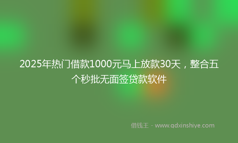 2025年热门借款1000元马上放款30天，整合五个秒批无面签贷款软件