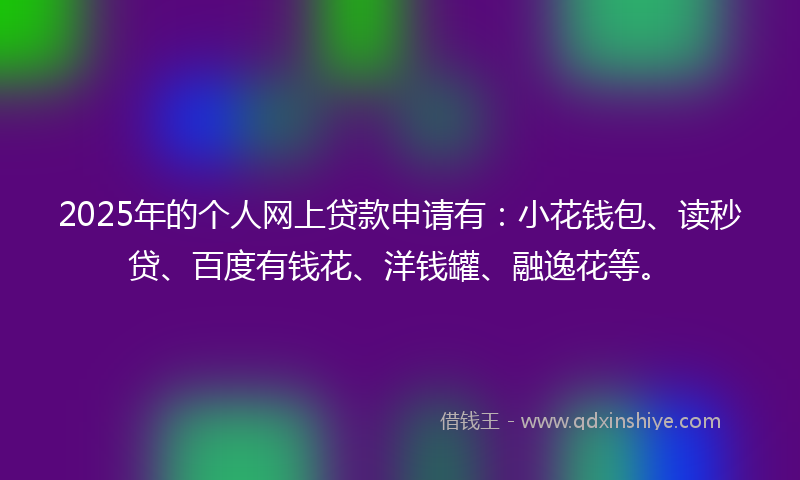 2025年的个人网上贷款申请有：小花钱包、读秒贷、百度有钱花、洋钱罐、融逸花等。