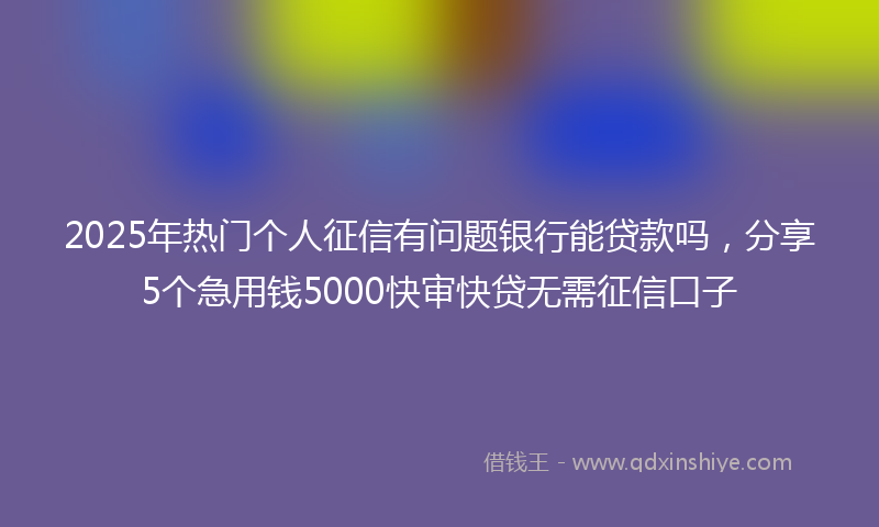 2025年热门个人征信有问题银行能贷款吗，分享5个急用钱5000快审快贷无需征信口子