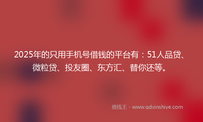 2025年的只用手机号借钱的平台有：51人品贷、微粒贷、投友圈、东方汇、替你还等。