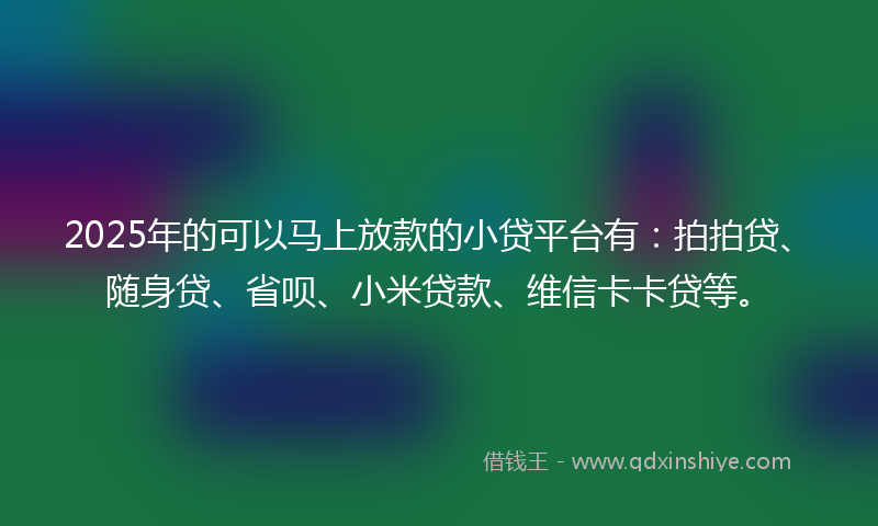 2025年的可以马上放款的小贷平台有：拍拍贷、随身贷、省呗、小米贷款、维信卡卡贷等。