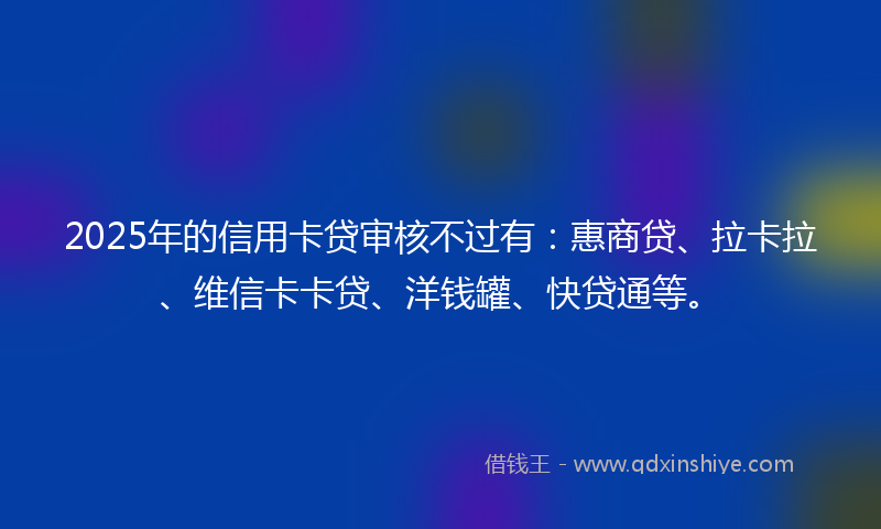2025年的信用卡贷审核不过有：惠商贷、拉卡拉、维信卡卡贷、洋钱罐、快贷通等。