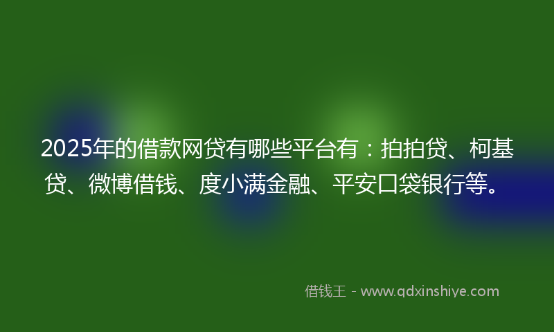 2025年的借款网贷有哪些平台有：拍拍贷、柯基贷、微博借钱、度小满金融、平安口袋银行等。