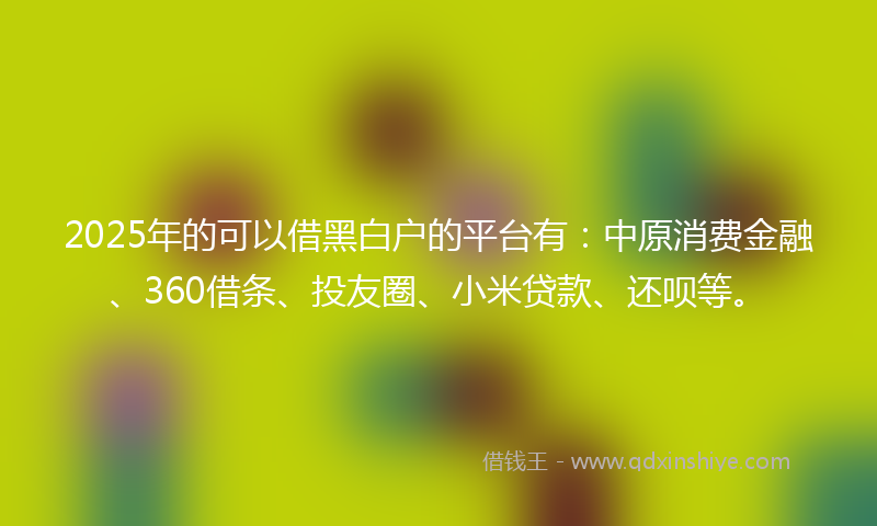 2025年的可以借黑白户的平台有：中原消费金融、360借条、投友圈、小米贷款、还呗等。