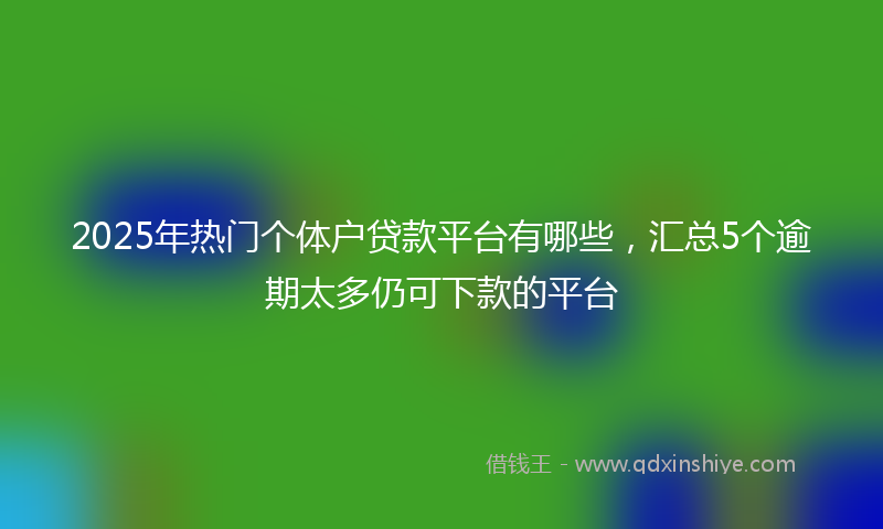 2025年热门个体户贷款平台有哪些，汇总5个逾期太多仍可下款的平台