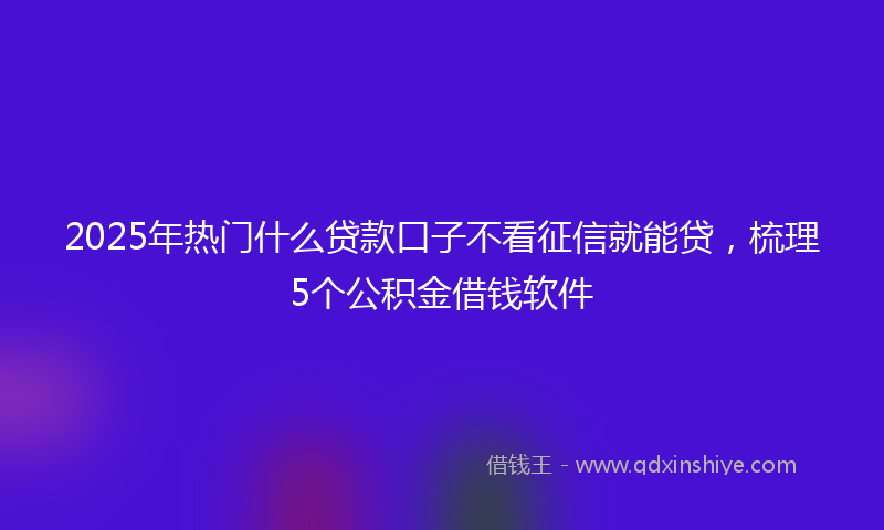 2025年热门什么贷款口子不看征信就能贷，梳理5个公积金借钱软件
