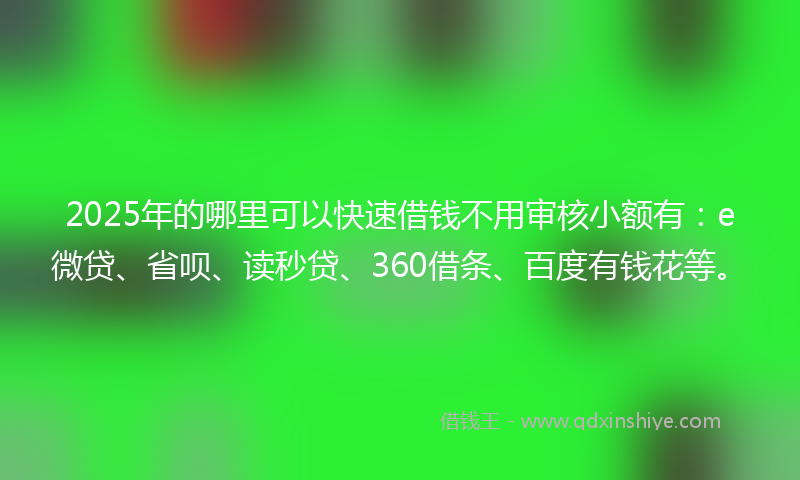 2025年的哪里可以快速借钱不用审核小额有：e微贷、省呗、读秒贷、360借条、百度有钱花等。