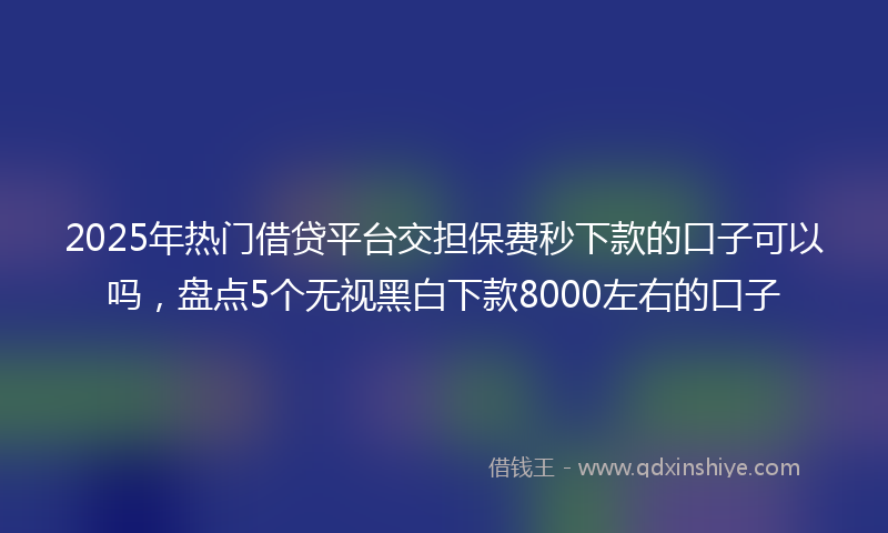 2025年热门借贷平台交担保费秒下款的口子可以吗，盘点5个无视黑白下款8000左右的口子