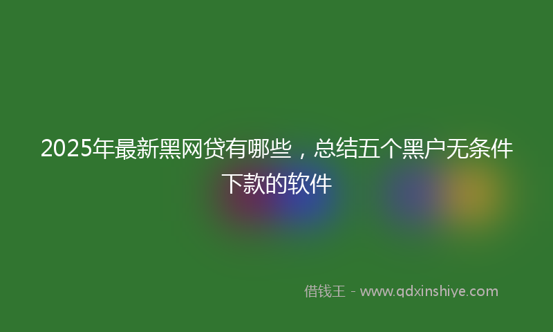 2025年最新黑网贷有哪些，总结五个黑户无条件下款的软件