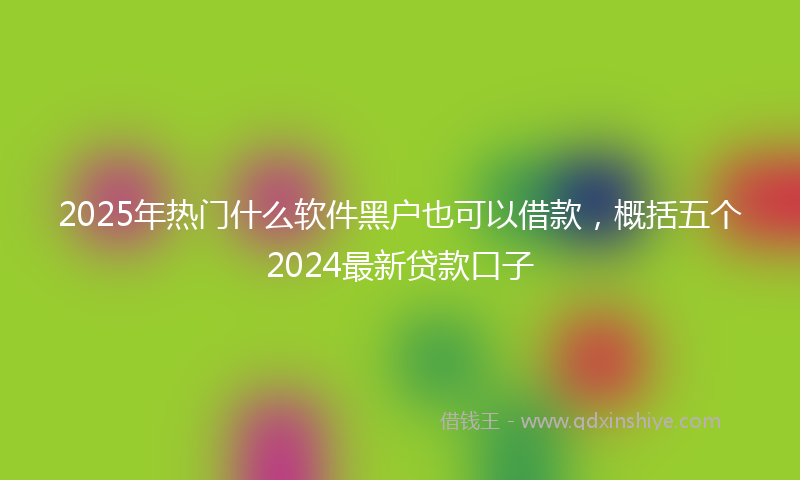 2025年热门什么软件黑户也可以借款，概括五个2024最新贷款口子