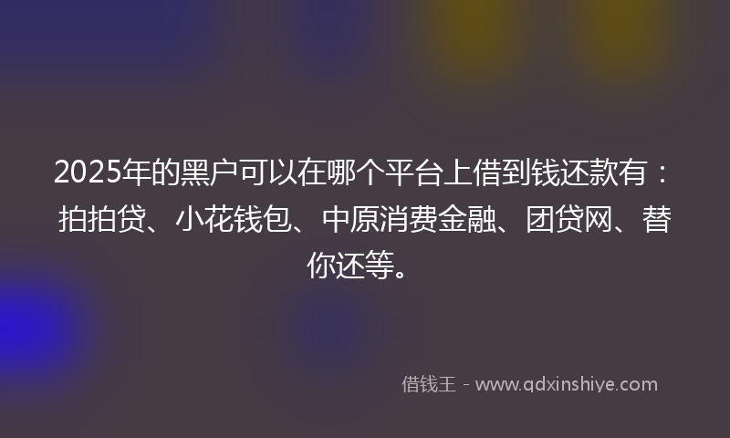2025年的黑户可以在哪个平台上借到钱还款有：拍拍贷、小花钱包、中原消费金融、团贷网、替你还等。