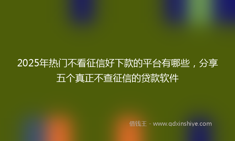 2025年热门不看征信好下款的平台有哪些，分享五个真正不查征信的贷款软件