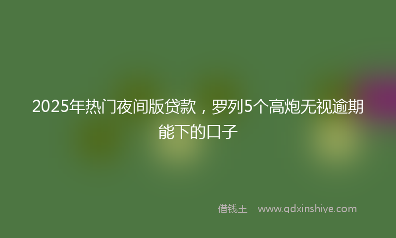 2025年热门夜间版贷款，罗列5个高炮无视逾期能下的口子