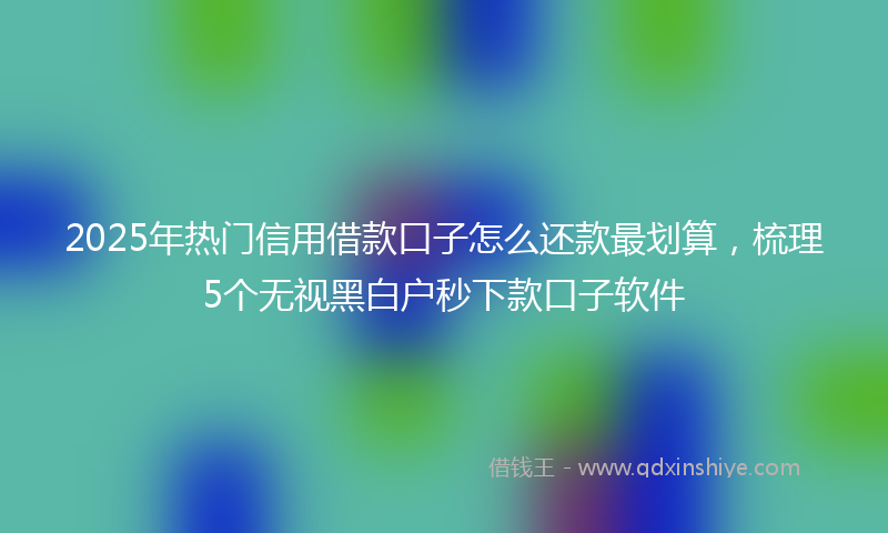 2025年热门信用借款口子怎么还款最划算，梳理5个无视黑白户秒下款口子软件