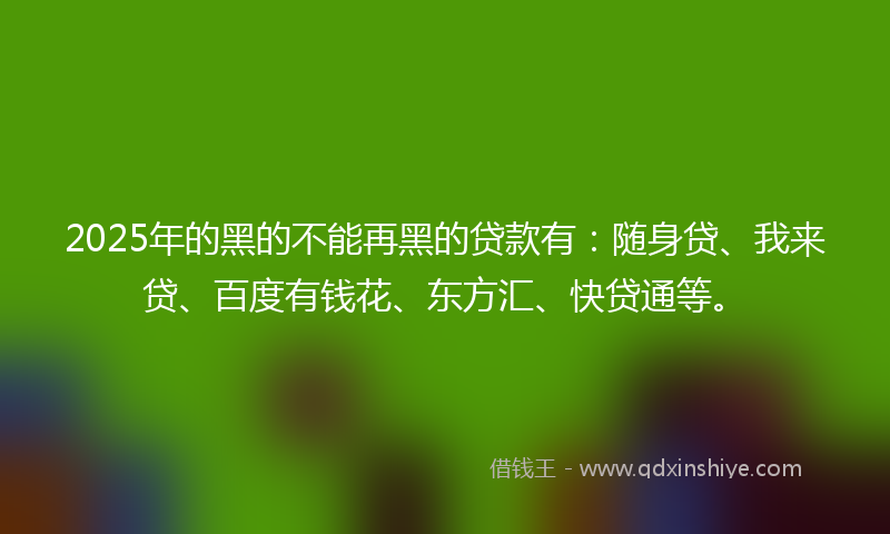 2025年的黑的不能再黑的贷款有：随身贷、我来贷、百度有钱花、东方汇、快贷通等。