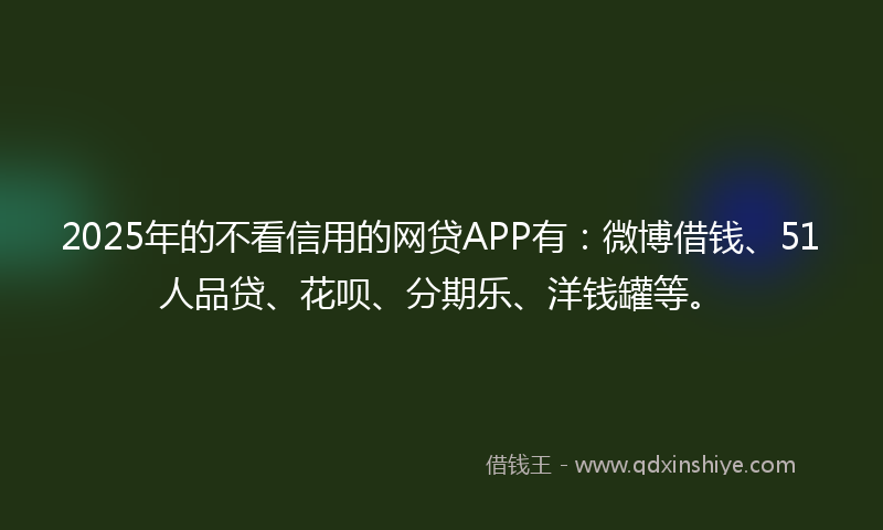 2025年的不看信用的网贷APP有：微博借钱、51人品贷、花呗、分期乐、洋钱罐等。