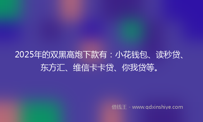 2025年的双黑高炮下款有：小花钱包、读秒贷、东方汇、维信卡卡贷、你我贷等。