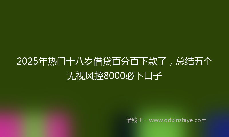 2025年热门十八岁借贷百分百下款了，总结五个无视风控8000必下口子