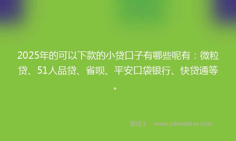 2025年的可以下款的小贷口子有哪些呢有：微粒贷、51人品贷、省呗、平安口袋银行、快贷通等。