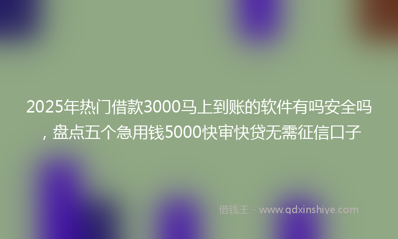 2025年热门借款3000马上到账的软件有吗安全吗，盘点五个急用钱5000快审快贷无需征信口子