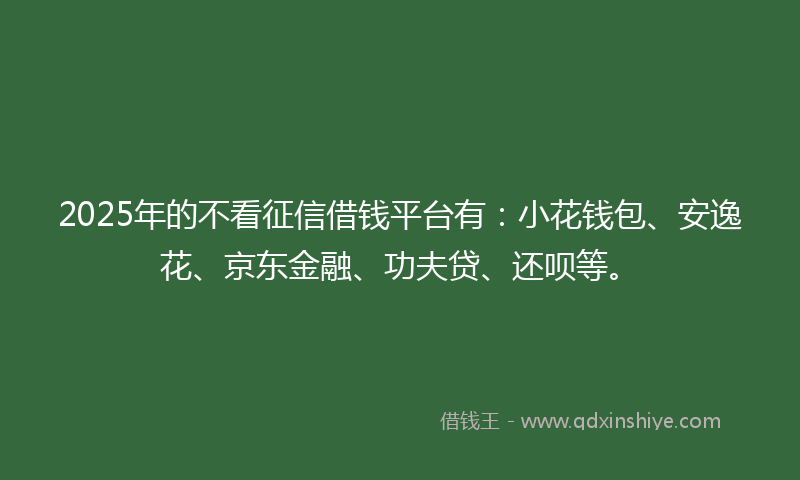 2025年的不看征信借钱平台有：小花钱包、安逸花、京东金融、功夫贷、还呗等。