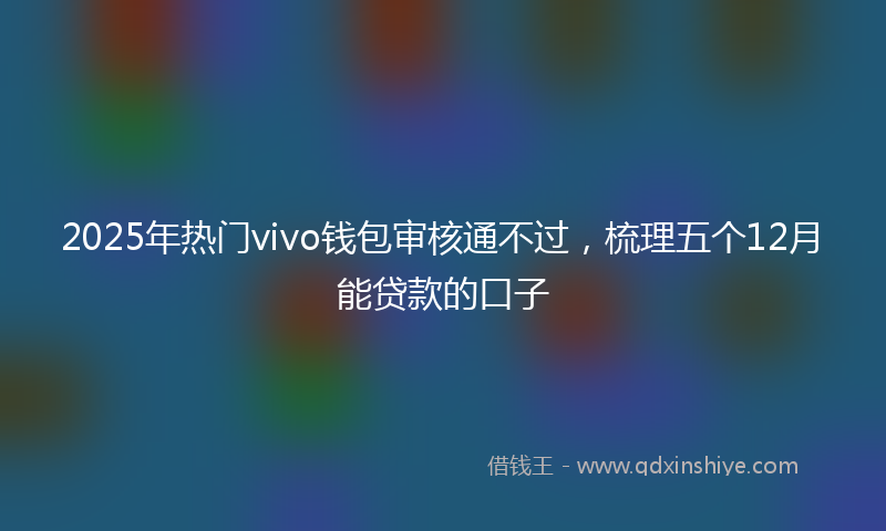 2025年热门vivo钱包审核通不过，梳理五个12月能贷款的口子