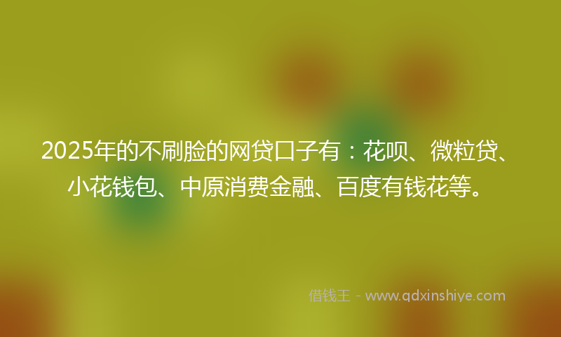 2025年的不刷脸的网贷口子有：花呗、微粒贷、小花钱包、中原消费金融、百度有钱花等。