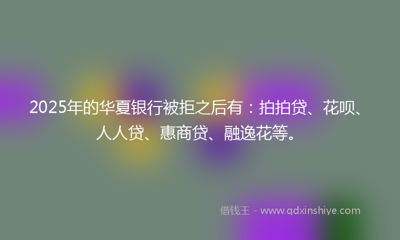 2025年的华夏银行被拒之后有：拍拍贷、花呗、人人贷、惠商贷、融逸花等。