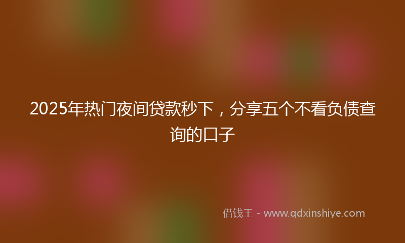 2025年热门夜间贷款秒下，分享五个不看负债查询的口子