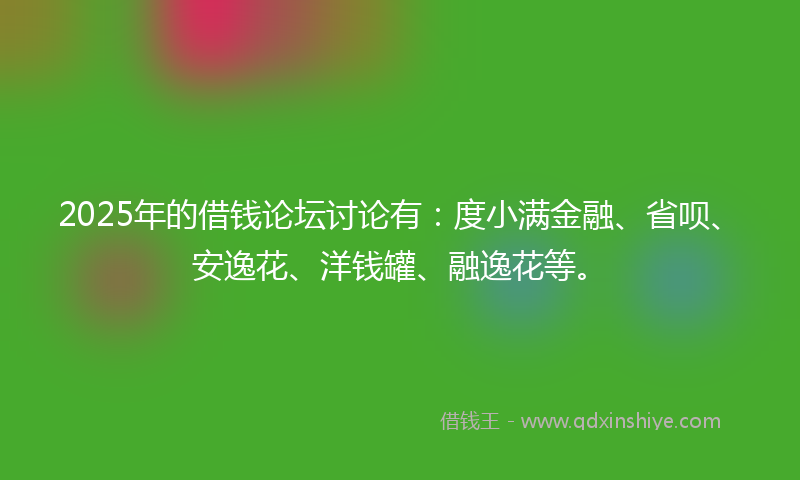 2025年的借钱论坛讨论有：度小满金融、省呗、安逸花、洋钱罐、融逸花等。