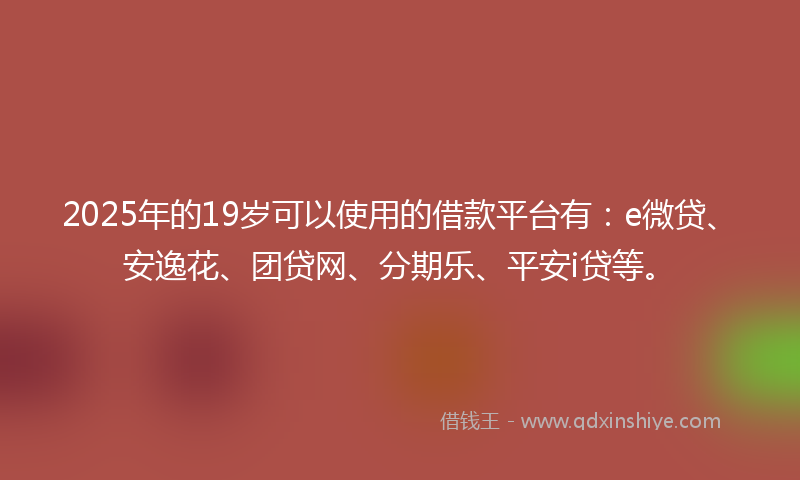 2025年的19岁可以使用的借款平台有：e微贷、安逸花、团贷网、分期乐、平安i贷等。