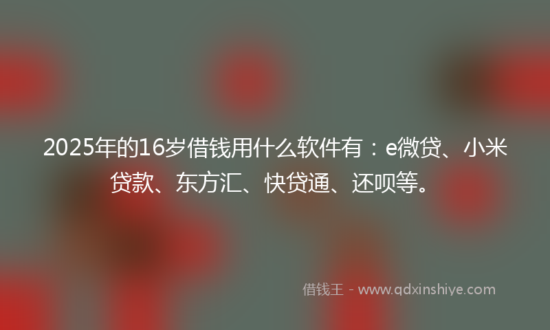 2025年的16岁借钱用什么软件有：e微贷、小米贷款、东方汇、快贷通、还呗等。