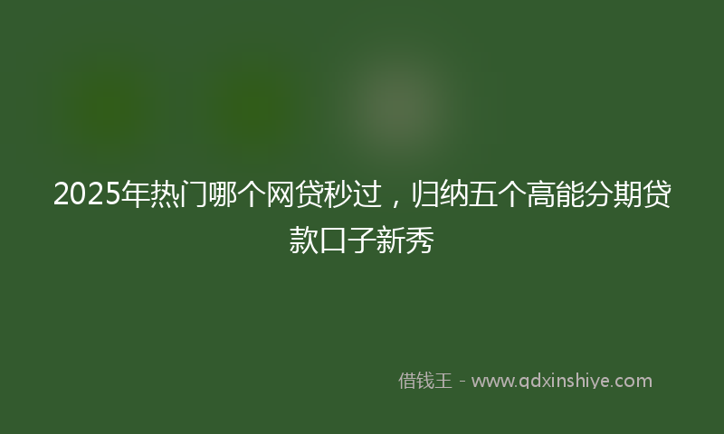 2025年热门哪个网贷秒过，归纳五个高能分期贷款口子新秀