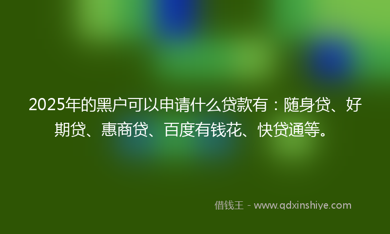 2025年的黑户可以申请什么贷款有：随身贷、好期贷、惠商贷、百度有钱花、快贷通等。