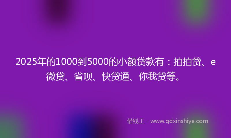 2025年的1000到5000的小额贷款有：拍拍贷、e微贷、省呗、快贷通、你我贷等。