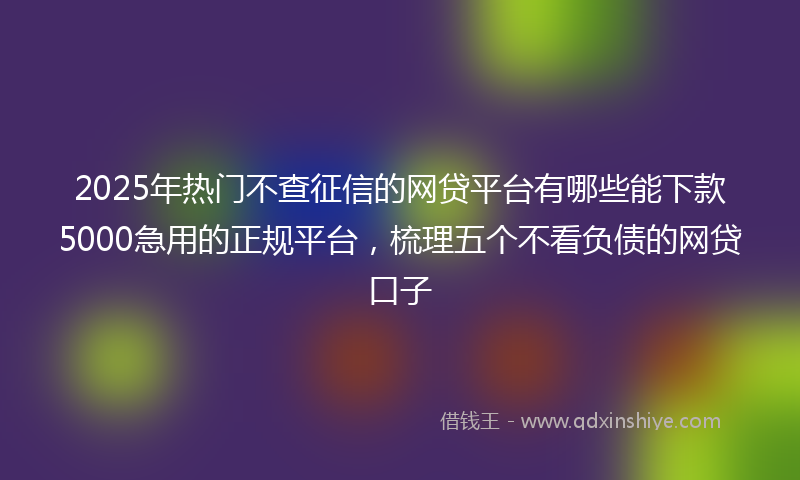 2025年热门不查征信的网贷平台有哪些能下款5000急用的正规平台，梳理五个不看负债的网贷口子