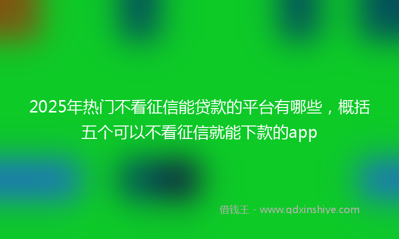 2025年热门不看征信能贷款的平台有哪些，概括五个可以不看征信就能下款的app