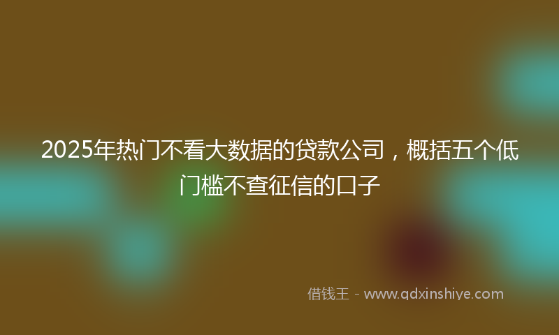 2025年热门不看大数据的贷款公司，概括五个低门槛不查征信的口子