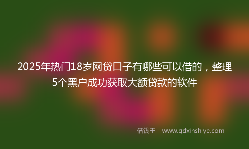 2025年热门18岁网贷口子有哪些可以借的，整理5个黑户成功获取大额贷款的软件