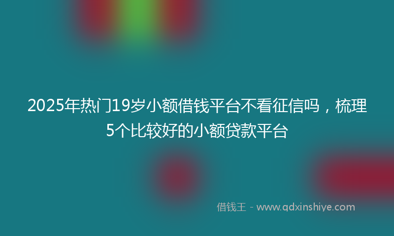 2025年热门19岁小额借钱平台不看征信吗，梳理5个比较好的小额贷款平台