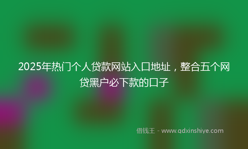 2025年热门个人贷款网站入口地址，整合五个网贷黑户必下款的口子