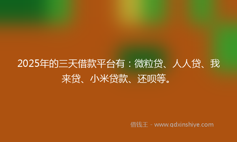 2025年的三天借款平台有：微粒贷、人人贷、我来贷、小米贷款、还呗等。