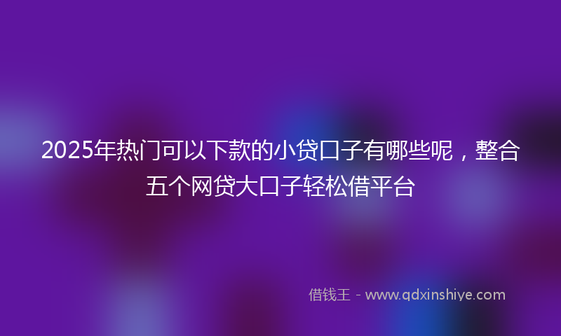 2025年热门可以下款的小贷口子有哪些呢，整合五个网贷大口子轻松借平台
