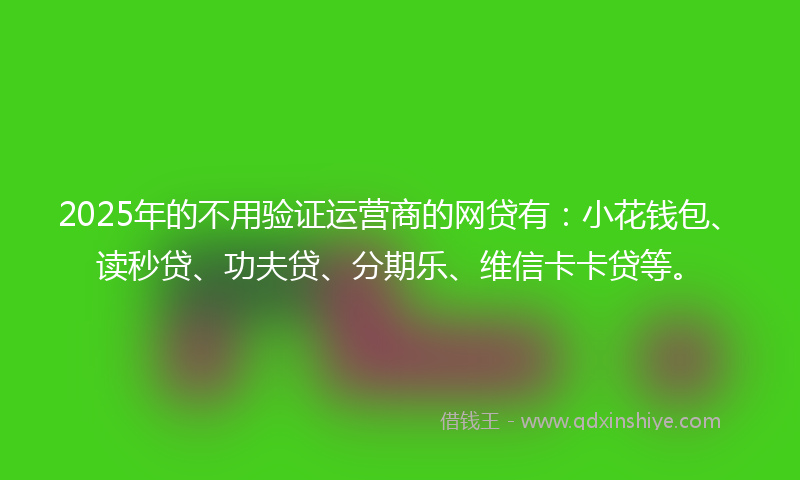 2025年的不用验证运营商的网贷有：小花钱包、读秒贷、功夫贷、分期乐、维信卡卡贷等。
