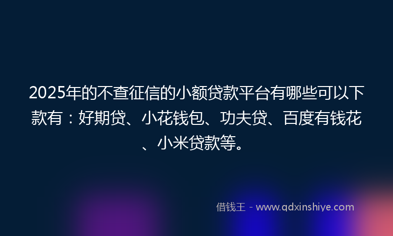 2025年的不查征信的小额贷款平台有哪些可以下款有：好期贷、小花钱包、功夫贷、百度有钱花、小米贷款等。