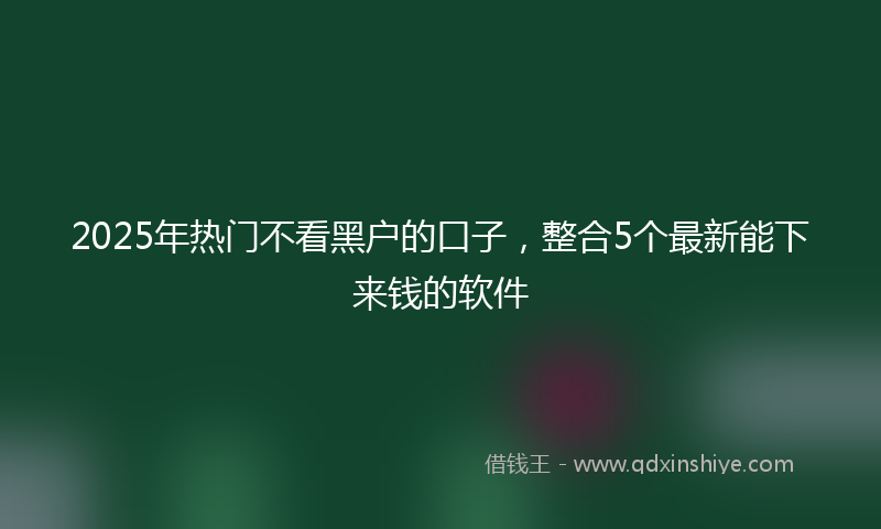 2025年热门不看黑户的口子，整合5个最新能下来钱的软件