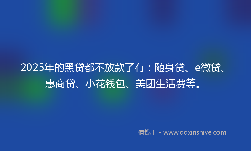 2025年的黑贷都不放款了有：随身贷、e微贷、惠商贷、小花钱包、美团生活费等。