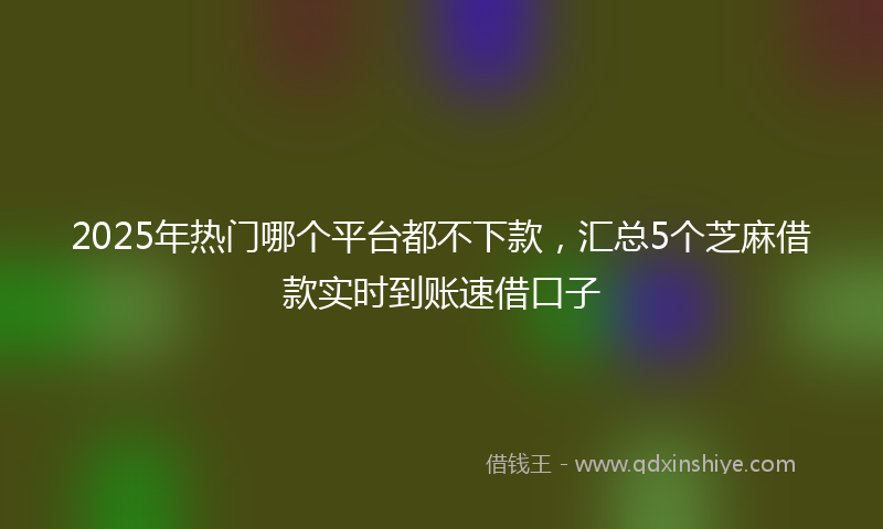 2025年热门哪个平台都不下款，汇总5个芝麻借款实时到账速借口子