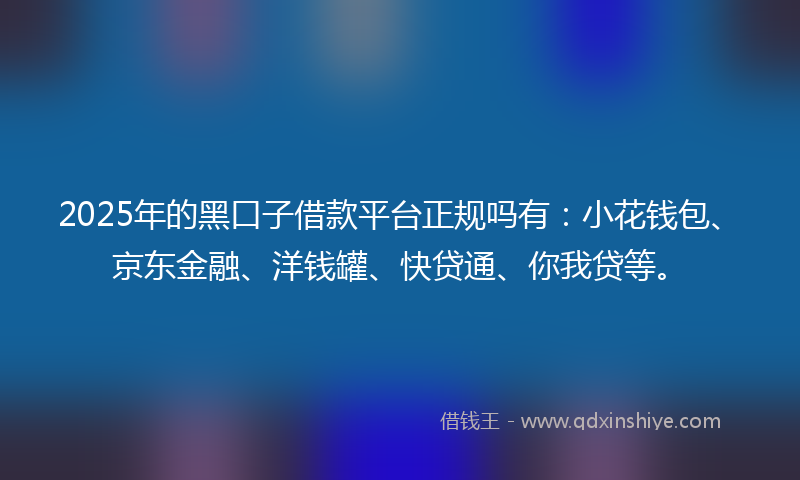 2025年的黑口子借款平台正规吗有：小花钱包、京东金融、洋钱罐、快贷通、你我贷等。